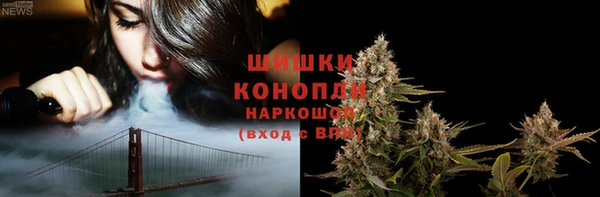 стаф Верея