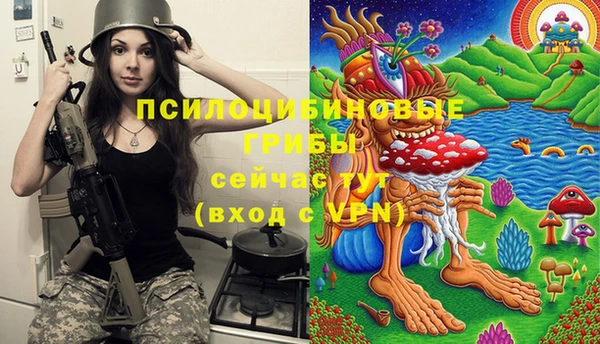 стаф Верея