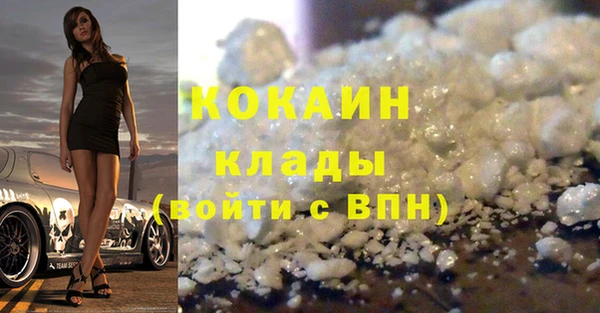 стаф Верея