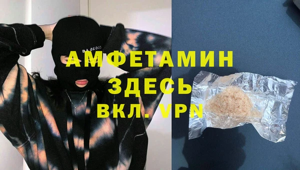 стаф Верея