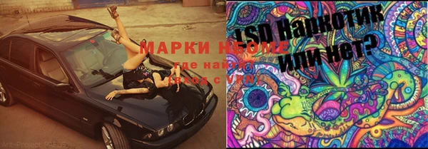 стаф Верея