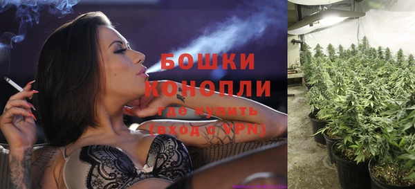 стаф Верея