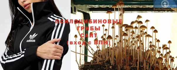 бошки Верхний Тагил