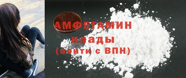 стаф Верея